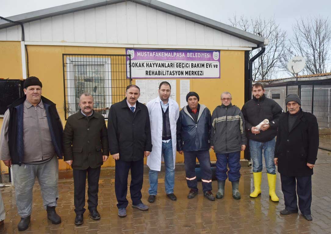 Sokak hayvanlarına şefkat eli