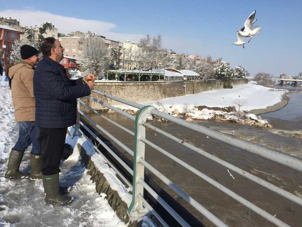 Başkan Kurtulan'dan 'can dostları' için seferberlik 