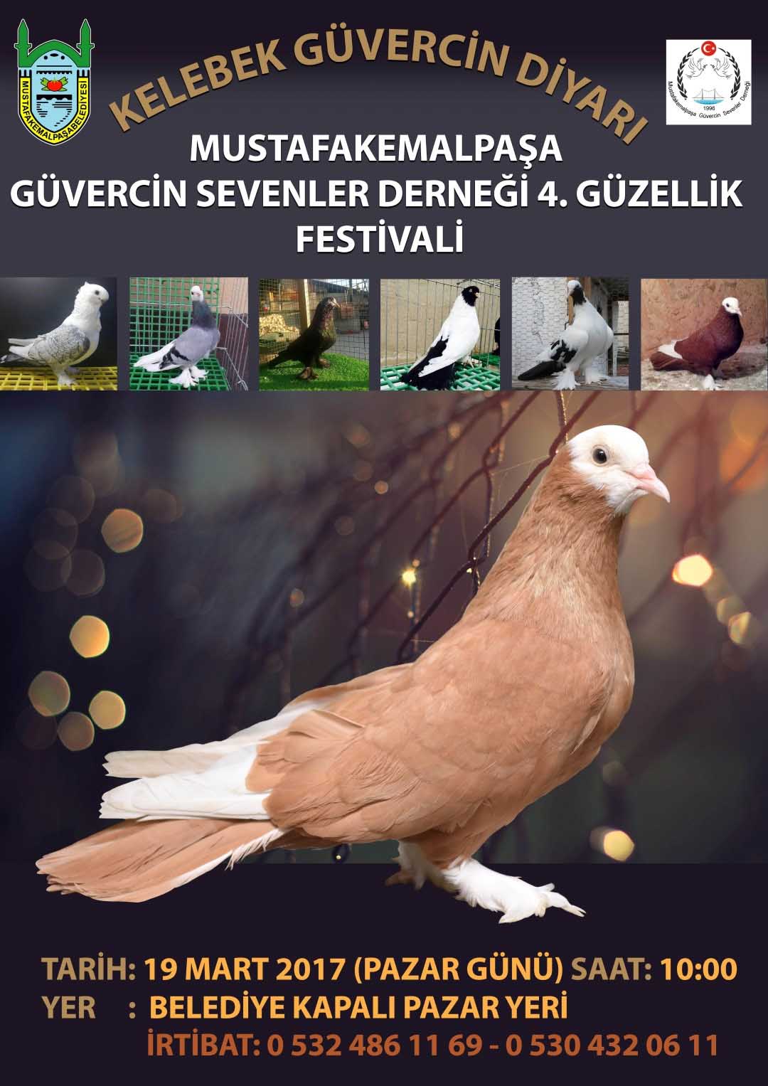 Güvercin sevenler Mustafakemalpaşa'da buluşuyor
