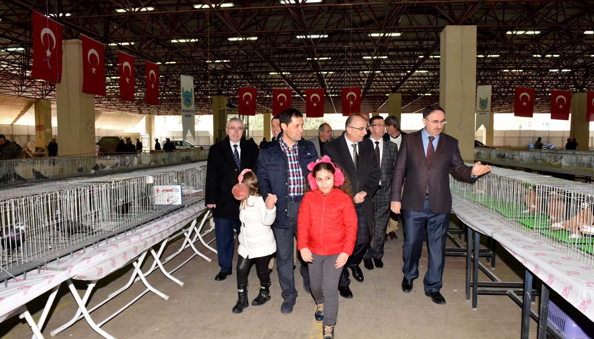 Güvercin Festivali'ne ziyaretçi akını 