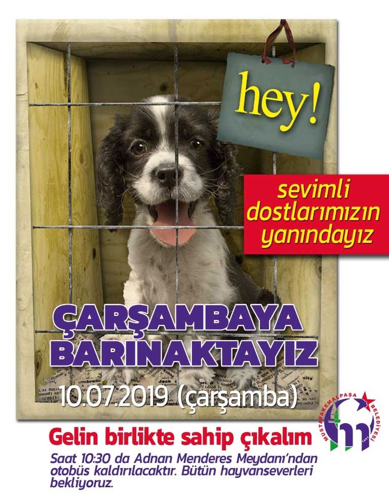 Hayvanseverler barınakta buluşuyor