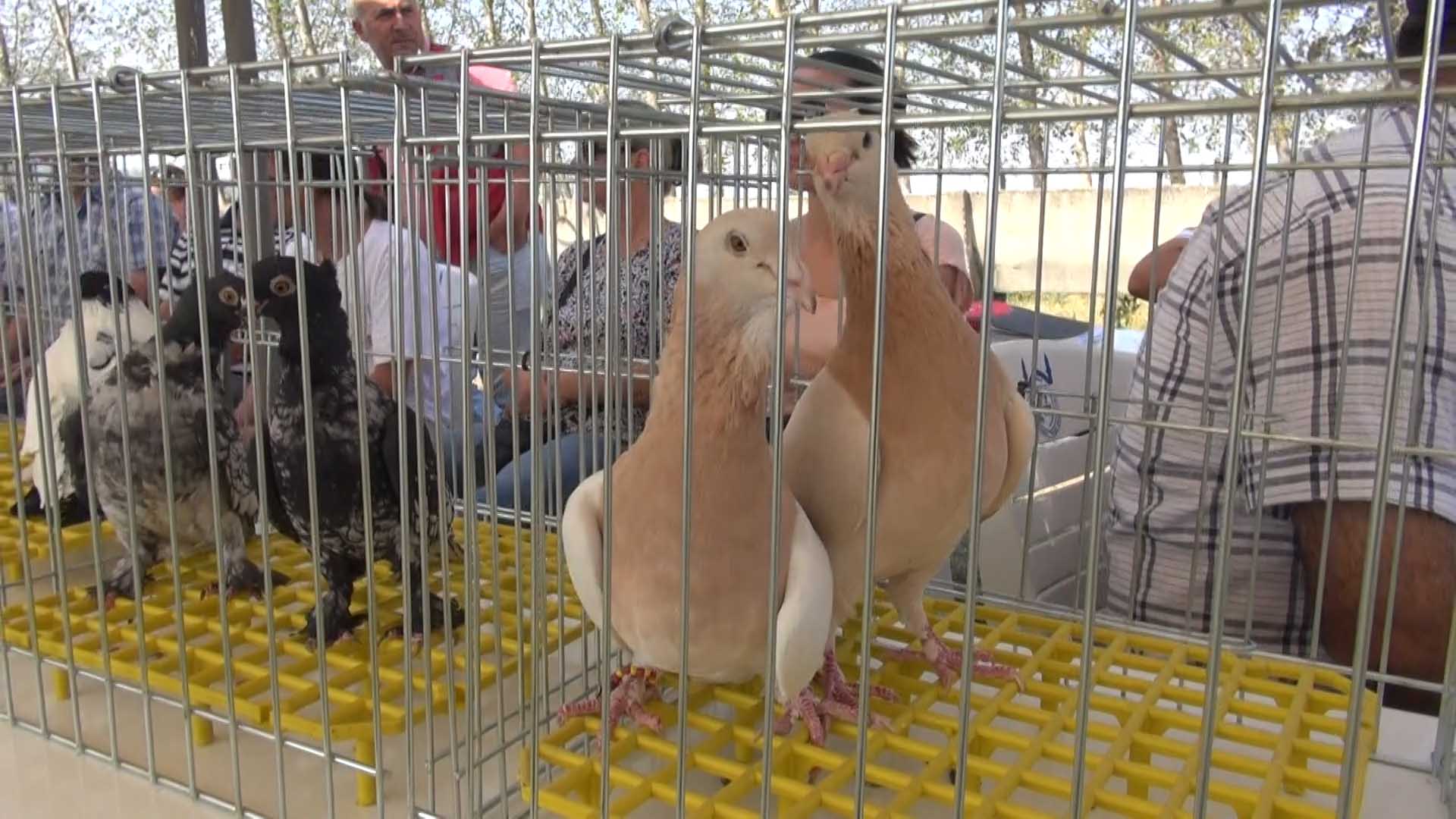GÖKYÜZÜNÜN EFSANE KANATLARI HÜNERLERİNİ SERGİLEYECEK