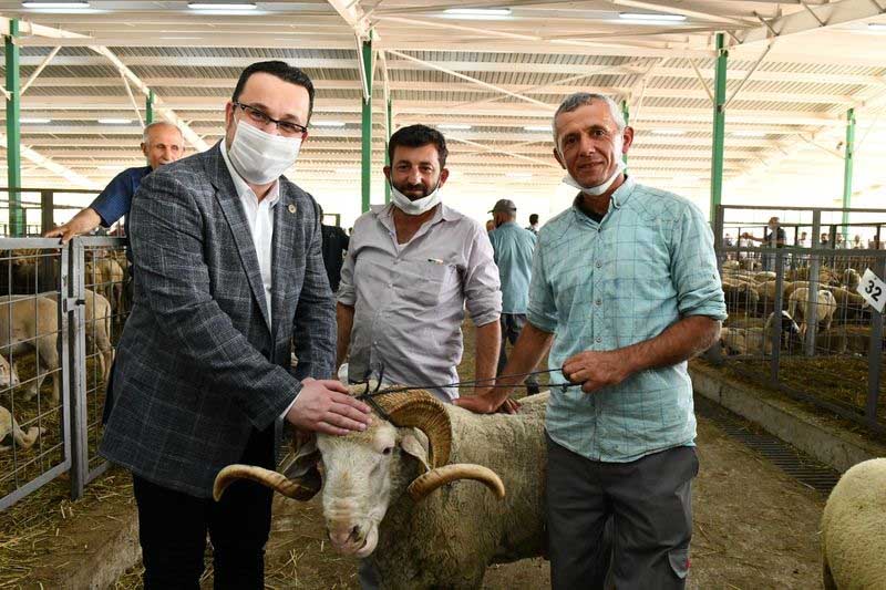 BAŞKAN KANAR, HAYVAN PAZARINI ZİYARET ETTİ