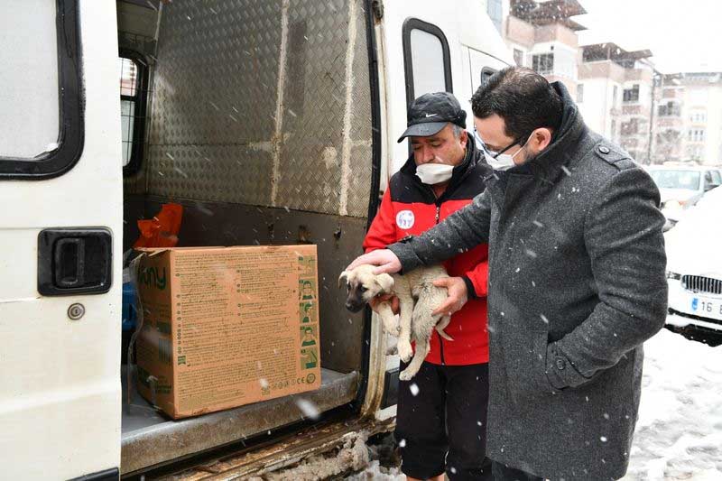 MUSTAFAKEMALPAŞA'DA CAN DOSTLARI İÇİN SEFERBERLİK