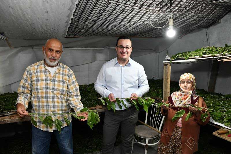 SIFIR MASRAF, 1 KUTU İPEKBÖCEĞİ 4 BİN TL GELİR