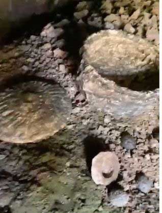 DÜNYA MUTFAĞININ GÖBEKLİTEPESİ : MUSTAFAKEMALPAŞA