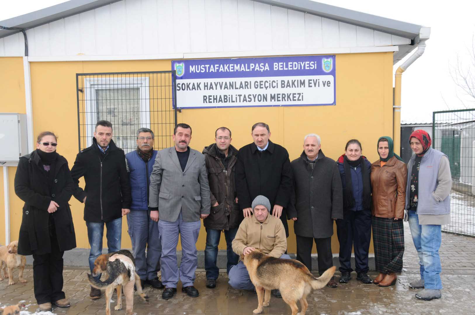 Sokak hayvanları koruma altında